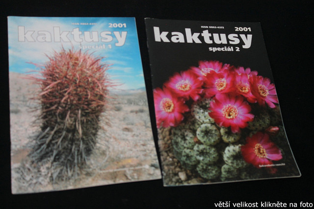 IMG-3305.jpg