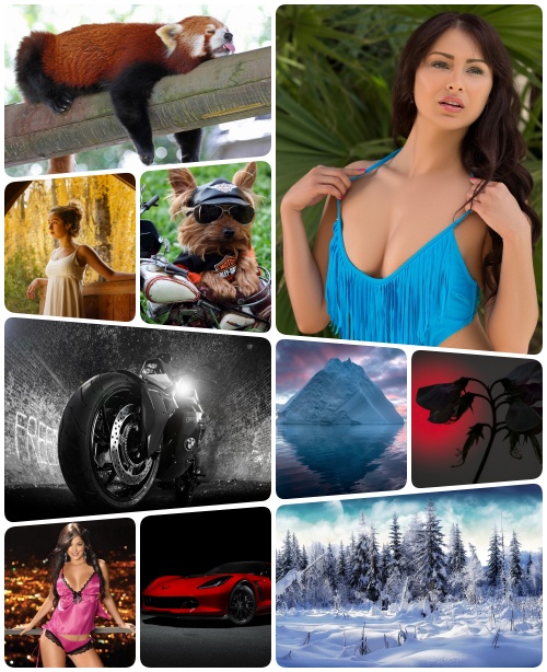 Mix Beautiful Wallpapers Best Collection pack 105