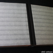 IMG-3352