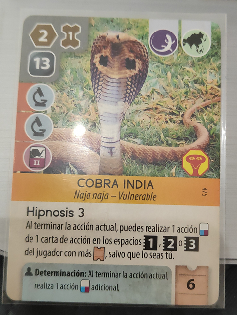 indian-kobra