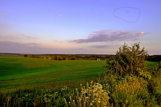 DSC4853-2