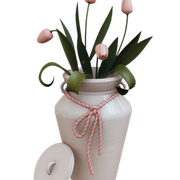 Design sem nome 264