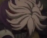 Fu