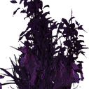 Corpse-Growth2