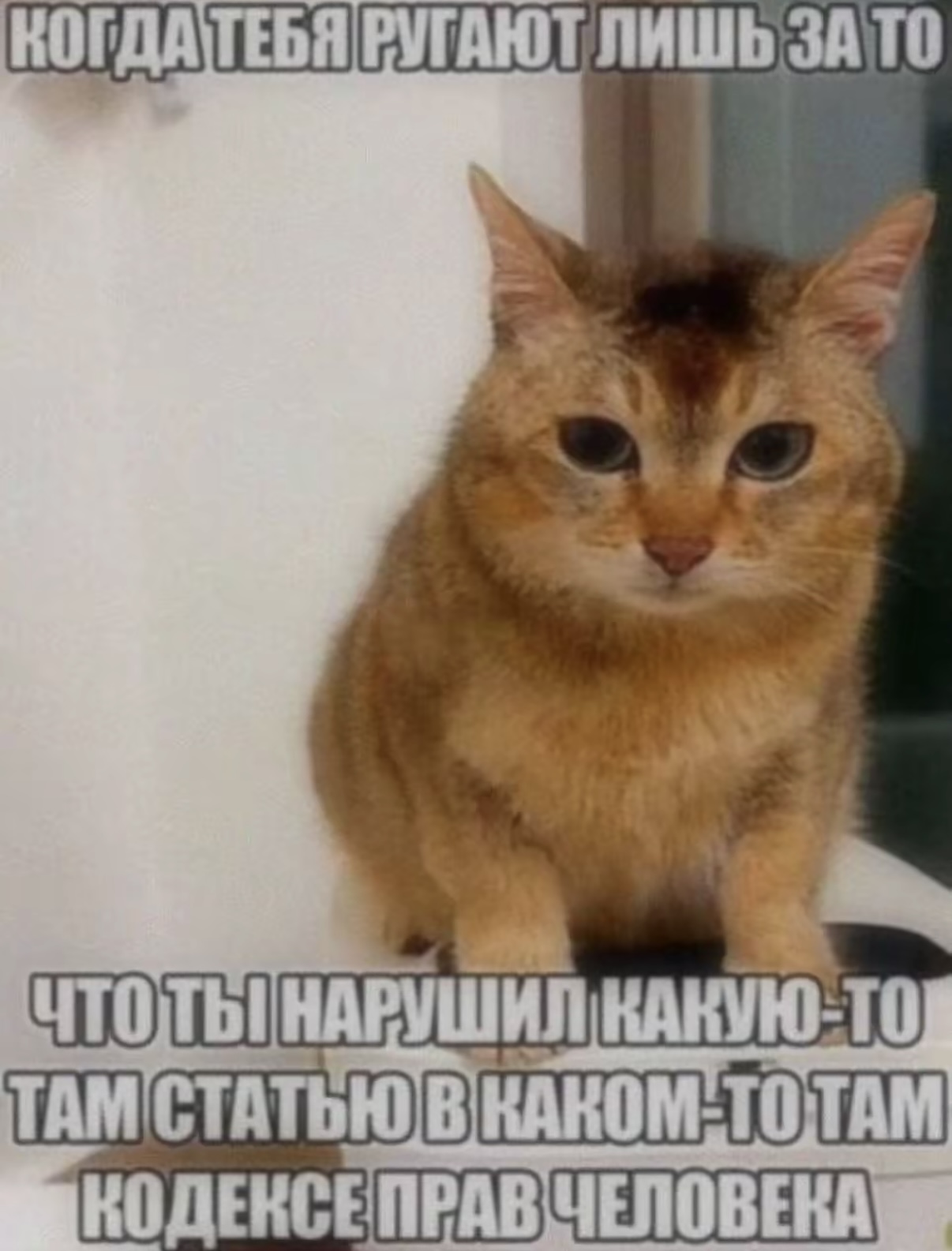 spacer.png