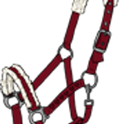 riimu6 3