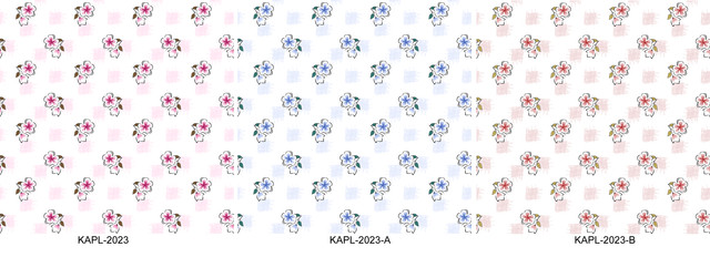 KAPL 2023.jpg