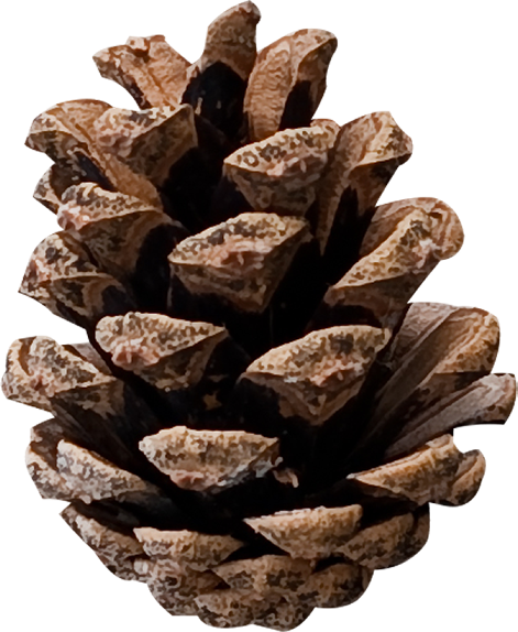 Element59.png
