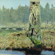 Стволы деревьев