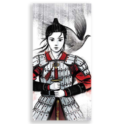 31001267-Mulan