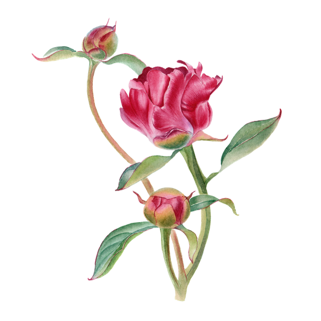 shutterstock 669631741.png