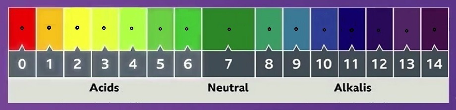 Pinpoint pH Numbers Quiz - By Flick