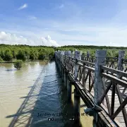 Tanjung Piai6