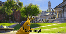 coming-soslow.gif
