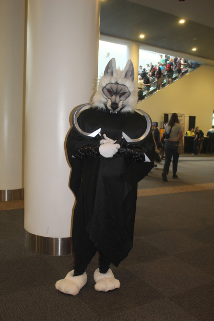 IMG 5645.jpg