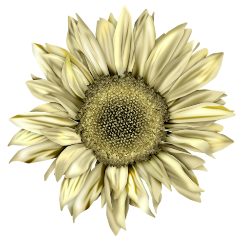 FM-Fl-W-Element-52.png