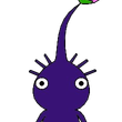 purplebud