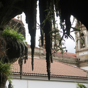 Bom Jesus do Monte