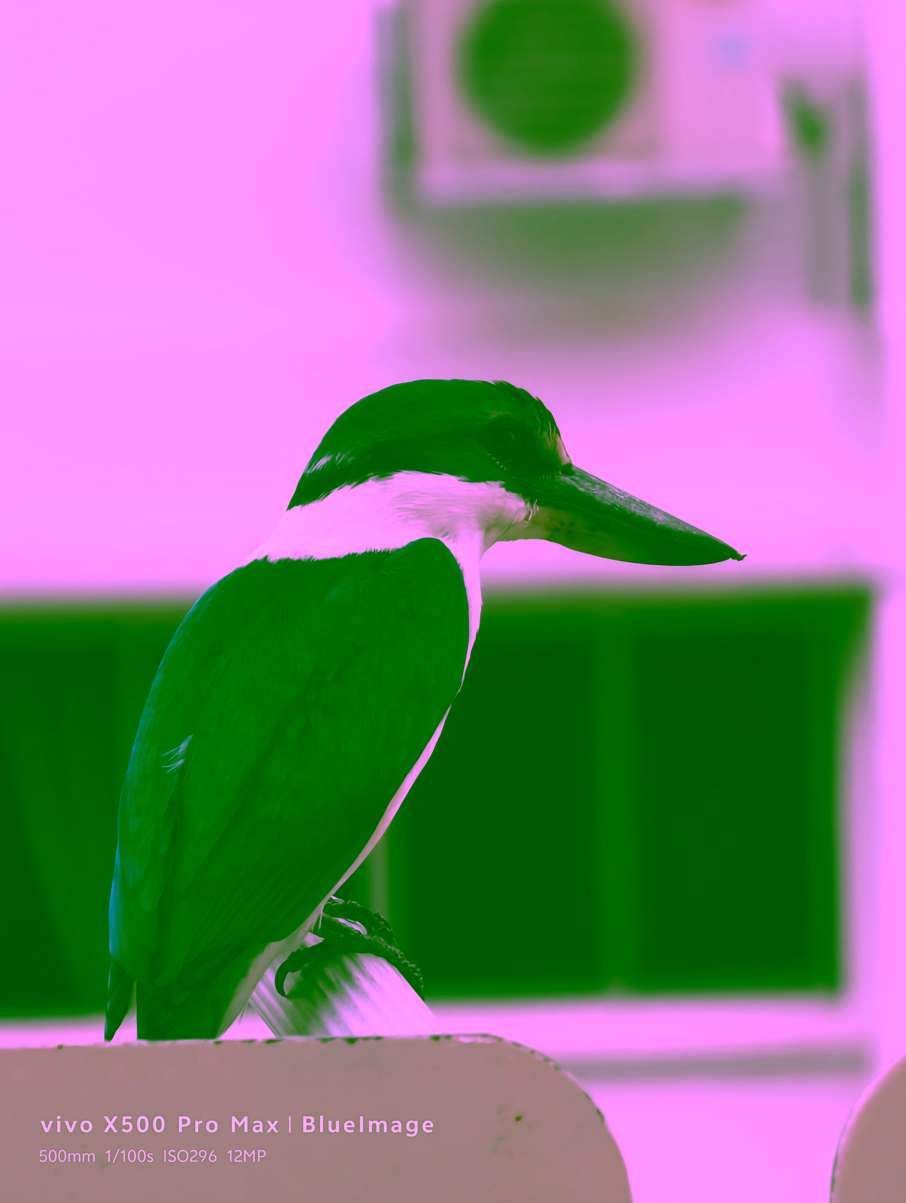 IMG-20261019-165302.avif