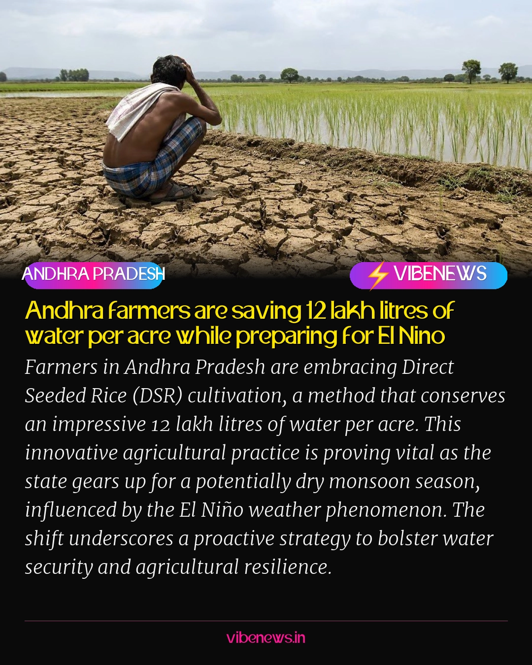Andhra farmers are saving 12 lakh litres of water per acre while preparing for El Nino