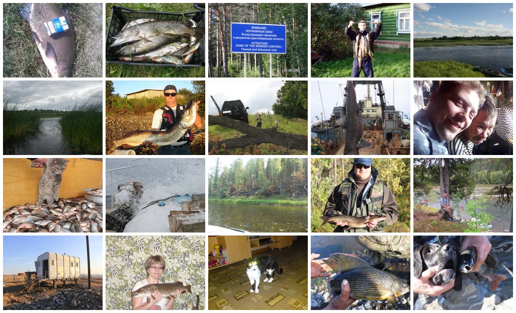 https://i.ibb.co/rRdBb64Y/1071-collage.jpg
