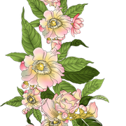 b2eafcbf19e9ecdb1de059309e3744ca