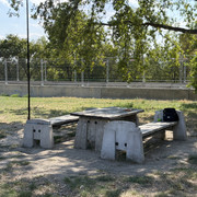 IMG 8155