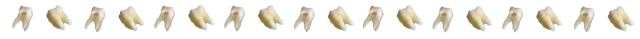 IMG-9583.png