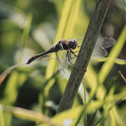 P9183551.jpg
