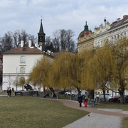DSC 3173