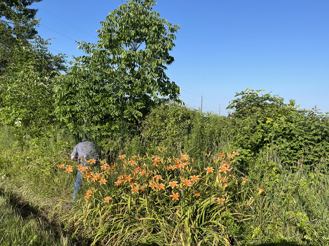 IMG 7621