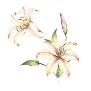 shutterstock 413080189 copy