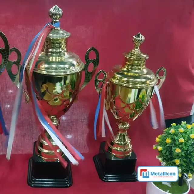 China Award Trophy BD
