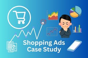 Shopping Ads Case Study