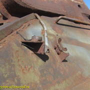 IMG-1360