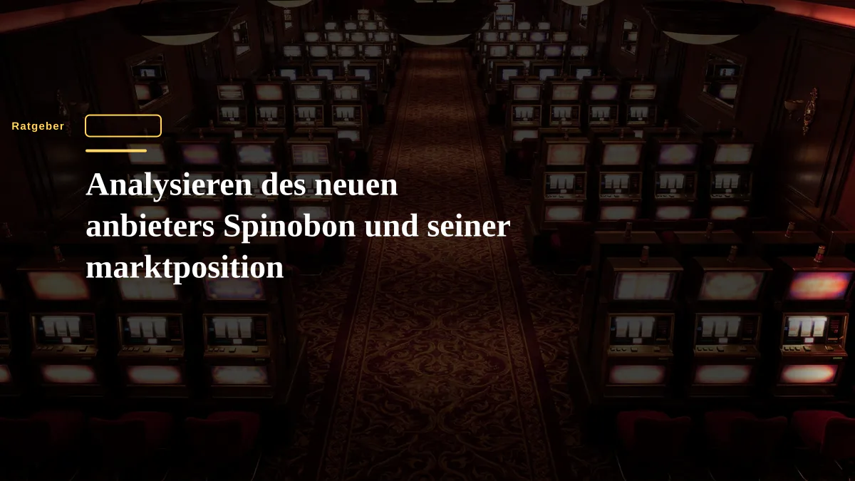 Analysieren des neuen anbieters Spinobon und seiner marktposition