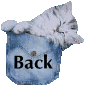 back button