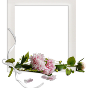 cluster-frame-137