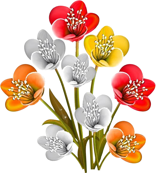 adadd.png