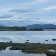 IMG 6007