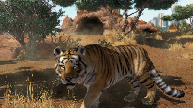 Zoo Tycoon Tiger