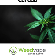 Main-Order-Weed-Canada-2