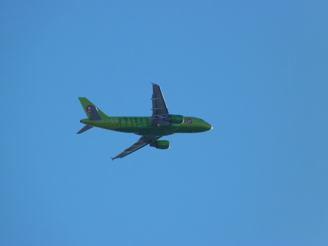P1180561.jpg