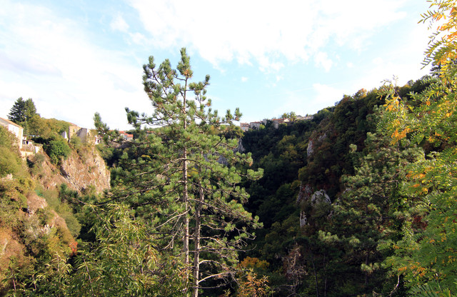 IMG-9640.jpg