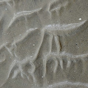 DSCF2842
