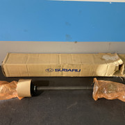 IMG-8619