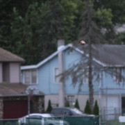 IMG-2776