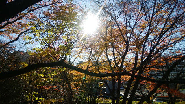 IMG-20221124-085158