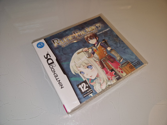 Rune-Factory-1.jpg