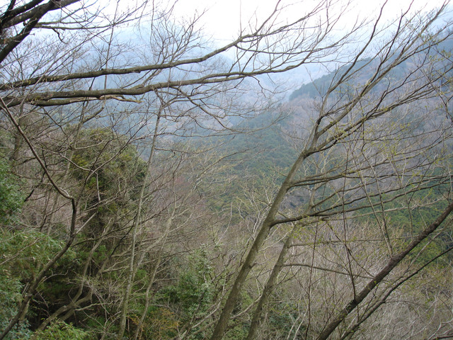 2009-03-25-094.jpg
